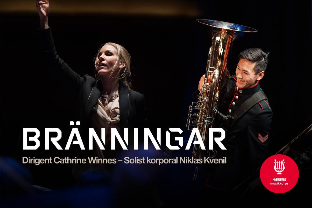 Branningar_web